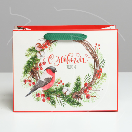 Пакет бумажный "С Новым годом" 23х18х10 см 4843323